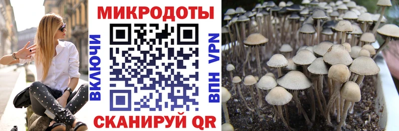 Галлюциногенные грибы MAGIC MUSHROOMS  Сосногорск 